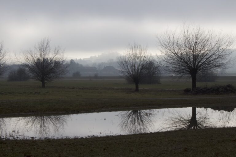 Novembernebel in der Reussebene